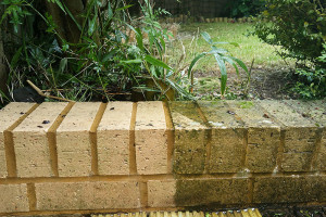 Stone Wall Cleaning